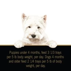 Cesar Puppy Classic Loaf in Sauce Chicken & Beef Recipe Dog Food Trays -Brown's || Barkworthies || Cesar Sales 47090 PT8. SY630 V1594408905