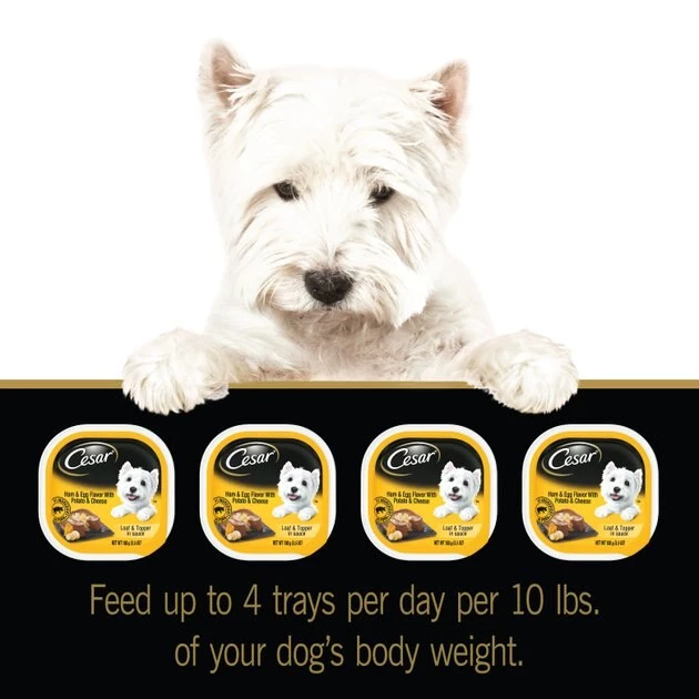 Cesar Loaf & Topper in Sauce Ham & Egg Flavor with Potato & Cheese Dog Food Trays 9 Cesar Loaf & Topper in Sauce Ham & Egg Flavor with Potato & Cheese Dog Food Trays - Image 9