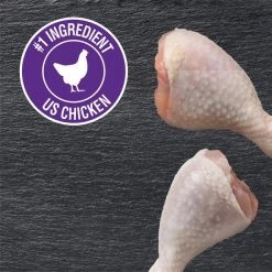 Cesar Classic Loaf in Sauce Grilled Chicken Flavor Dog Food Trays -Brown's || Barkworthies || Cesar Sales 86444 PT3. SY630 V1621517018