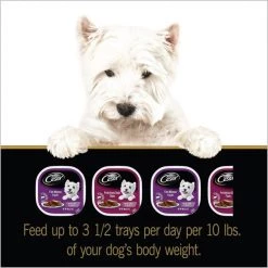 Cesar Classic Loaf in Sauce Filet Mignon & Porterhouse Steak Flavors Variety Pack Dog Food Trays -Brown's || Barkworthies || Cesar Sales 86450 PT8. SY630 V1621547833