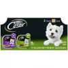 Cesar Classic Loaf in Sauce Top Sirloin & Grilled Chicken Flavors Variety Pack Dog Food Trays