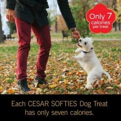 Cesar Softies Medley Dog Treats 13 Cesar Softies Medley Dog Treats -Brown's || Barkworthies || Cesar Sales 86482 PT4. SY630 V1541191340