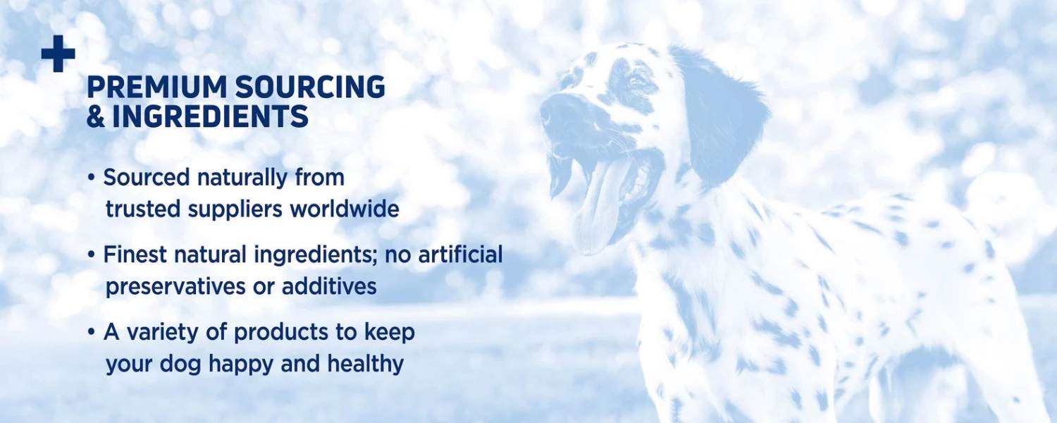 Barkworthies Odor-Free American Double Cut 12" Bully Sticks Dog Treats 5 Barkworthies Odor-Free American Double Cut 12" Bully Sticks Dog Treats - Image 5