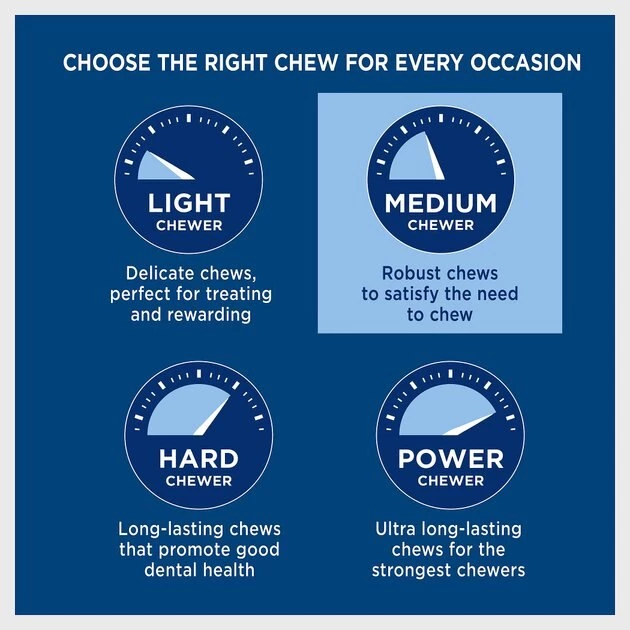 Barkworthies Odor-Free American Bully Sticks 12" Dog Treats 3 Barkworthies Odor-Free American Bully Sticks 12" Dog Treats - Image 3