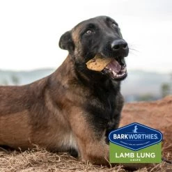 Barkworthies Lamb Lung Dehydrated Dog Treats -Brown's || Barkworthies || Cesar Sales 87093 PT5. SY630 V1550511317