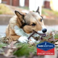 Barkworthies Beef Gullet Sticks 6" Dog Treats -Brown's || Barkworthies || Cesar Sales 87128 PT5. SY630 V1550511369