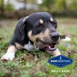 Barkworthies Green Tripe Sticks Dog Treats 14 Barkworthies Green Tripe Sticks Dog Treats -Brown's || Barkworthies || Cesar Sales 87169 PT7. SY630 V1550511382