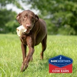 Barkworthies Cow Ears Dog Treats -Brown's || Barkworthies || Cesar Sales 87205 PT5. SY630 V1550511396