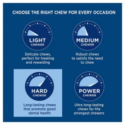 Barkworthies Smoked Pork Femur Dog Treat -Brown's || Barkworthies || Cesar Sales 92723 PT5. SY630 V1551823922