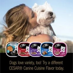 Cesar Home Delights Turkey Dinner & Pot Roast Variety Pack Dog Food Trays -Brown's || Barkworthies || Cesar Sales 93940 PT5. SY630 V1621517237