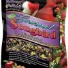 Brown's Bird Lover's Blend Almonds & Apples Gourmet Songbird Wild Bird Food
