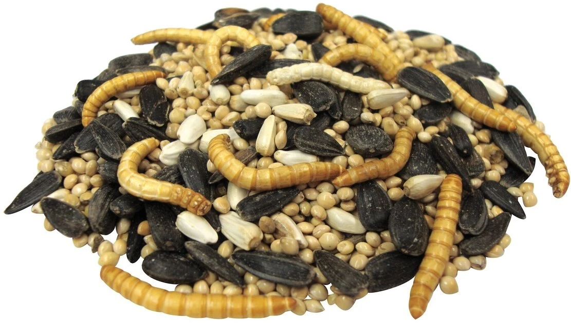 Brown's Bird Lover's Blend Hi-Energy Plus with Mealworms Wild Bird Food 5 Brown's Bird Lover's Blend Hi-Energy Plus with Mealworms Wild Bird Food - Image 5