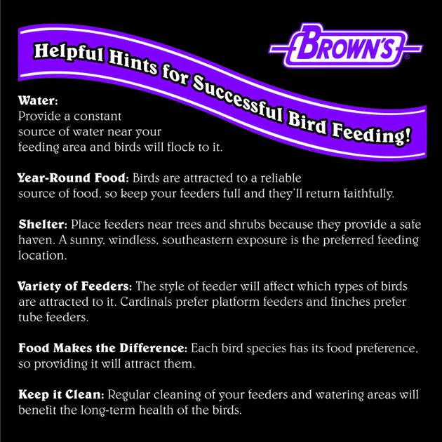 Brown's Bird Lover's Blend Nut, Fruit & Berry Wild Bird Food 6 Brown's Bird Lover's Blend Nut, Fruit & Berry Wild Bird Food - Image 6