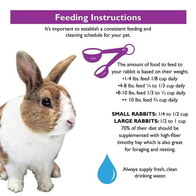 Brown's Encore Classic Natural Rabbit Food 7 Brown's Encore Classic Natural Rabbit Food - Image 7