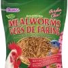 Brown's Dried Mealworms Wild Bird & Poultry Treats