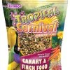 Brown's Tropical Carnival Canary & Finch Food