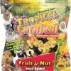 Brown's Tropical Carnival Fruit & Nut Small Animal Treats