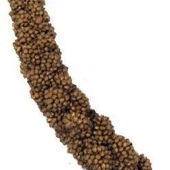 Brown's Tropical Carnival Mini Spray Millet Bird Treat 7 Brown's Tropical Carnival Mini Spray Millet Bird Treat -Brown's || Barkworthies || Cesar Sales 97081 PT3. SY630 V1477925304
