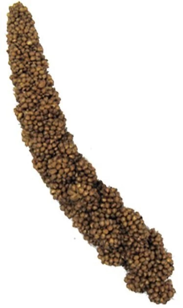 Brown's Tropical Carnival Mini Spray Millet Bird Treat 4 Brown's Tropical Carnival Mini Spray Millet Bird Treat - Image 4
