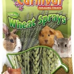 Brown's Tropical Carnival Natural Wheat Sprays Small Animal Treats