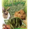 Brown's Tropical Carnival Oat Spray Small Animal Treats