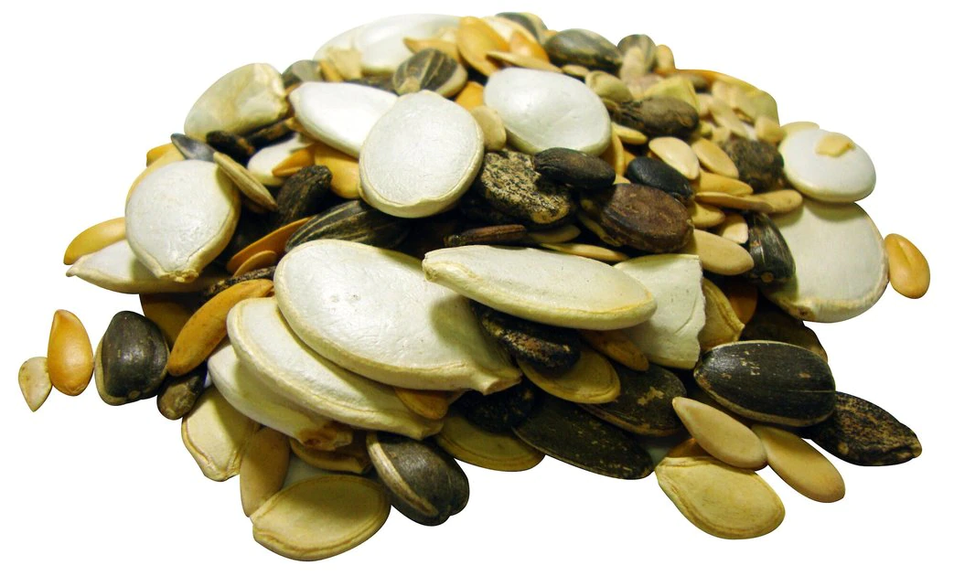 Brown's Tropical Carnival Natural Select Seeds Small Animal Treats 3 Brown's Tropical Carnival Natural Select Seeds Small Animal Treats - Image 3