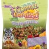 Brown's Tropical Carnival Natural Fortified Daily Diet Chinchilla Food