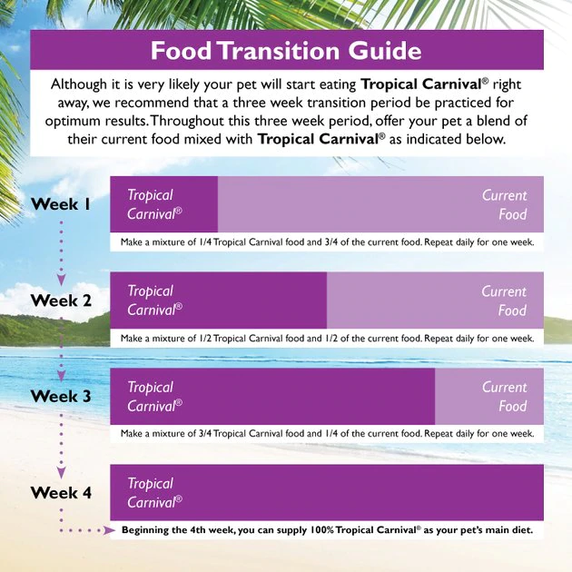 Brown's Tropical Carnival Fortified Daily Diet Natural Guinea Pig Food 6 Brown's Tropical Carnival Fortified Daily Diet Natural Guinea Pig Food - Image 6